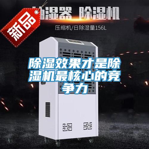 除濕效果才是91看片软件大全最核心的競爭力