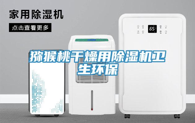 獼猴桃幹燥用91看片软件大全衛生環保