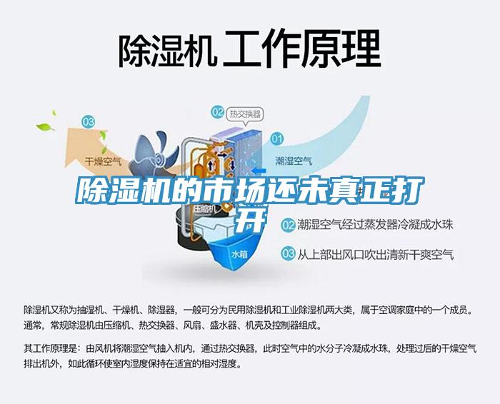 91看片软件大全的市場還未真正打開