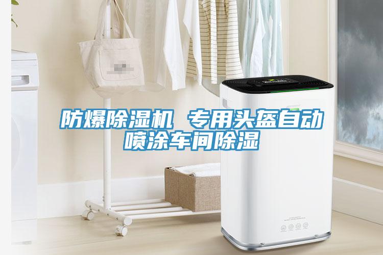 防爆91看片软件大全 專用頭盔自動噴塗車間除濕