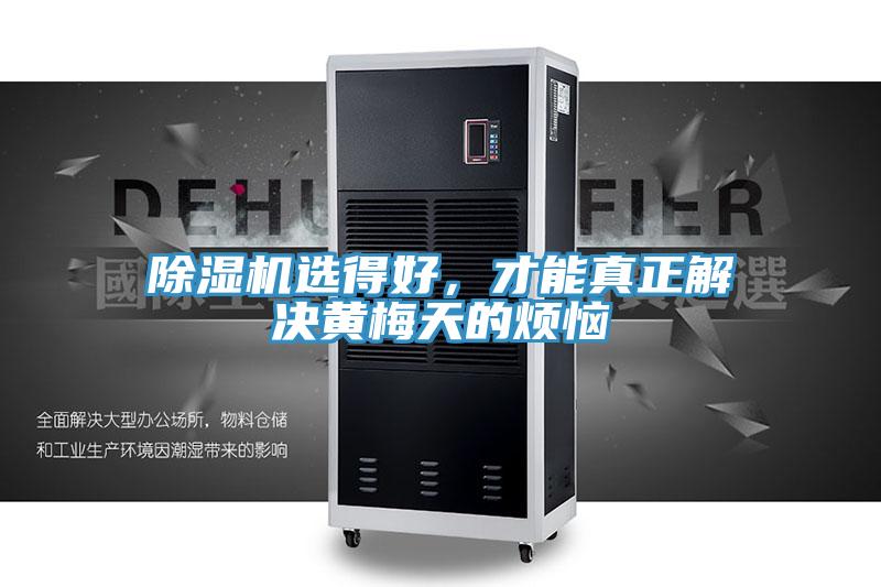 91看片软件大全選得好，才能真正解決黃梅天的煩惱