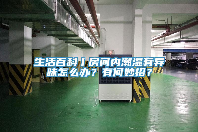 生活百科丨房間內潮濕有異味怎麽辦？有何妙招？