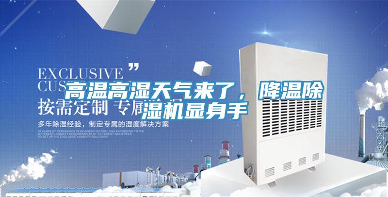 高溫高濕天氣來了，降溫91看片软件大全顯身手