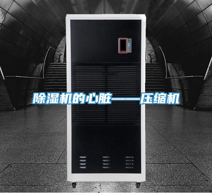 91看片软件大全的心髒——壓縮機