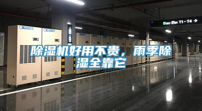 91看片软件大全好用不貴，雨季除濕全靠它