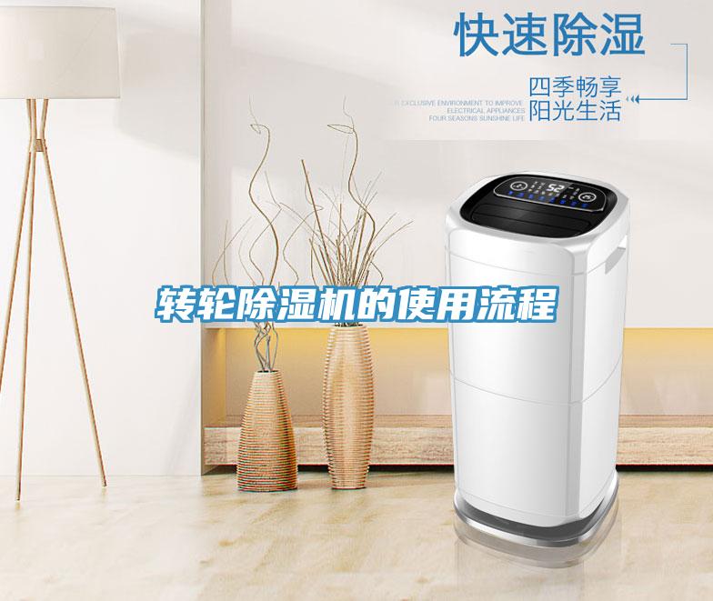 轉輪91看片软件大全的使用流程