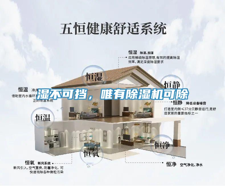 濕不可擋，唯有91看片软件大全可除
