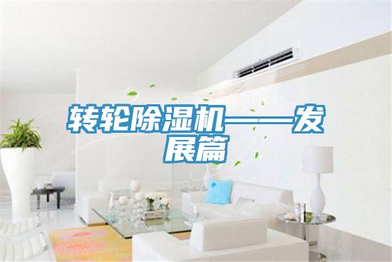 轉輪91看片软件大全——發展篇