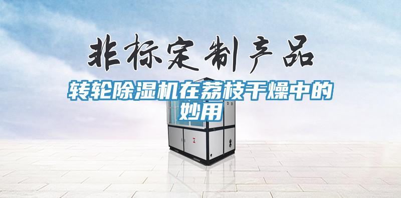轉輪91看片软件大全在荔枝幹燥中的妙用