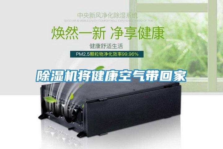 91看片软件大全將健康空氣帶回家