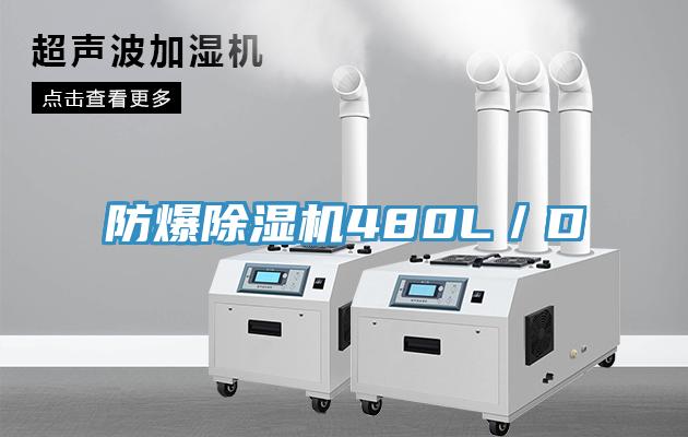 防爆91看片软件大全480L／D