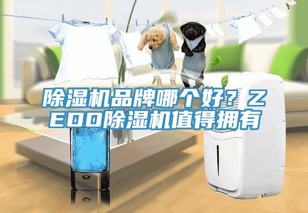 91看片软件大全品牌哪個好？ZEDO91看片软件大全值得擁有