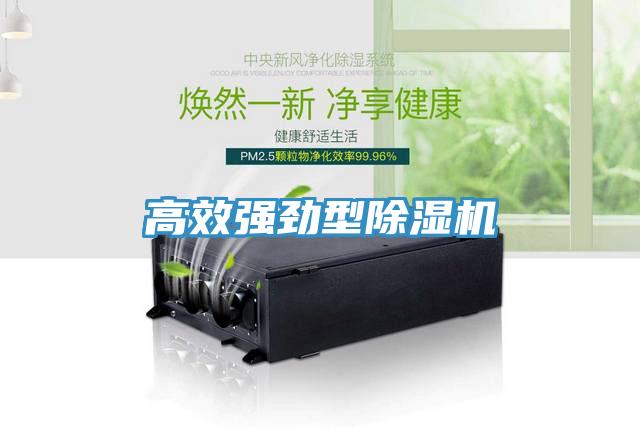 高效強勁型91看片软件大全