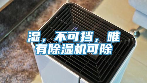 濕，不可擋，唯有91看片软件大全可除