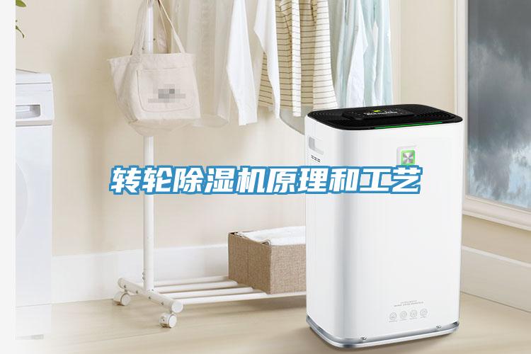 轉輪91看片软件大全原理和工藝