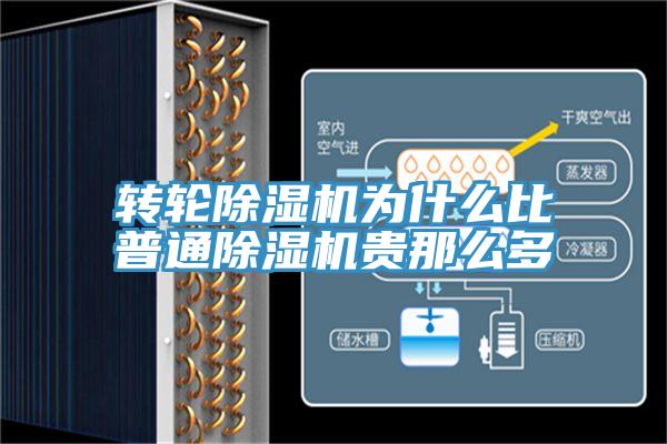轉輪91看片软件大全為什麽比普通91看片软件大全貴那麽多