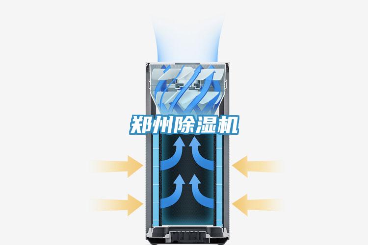 鄭州91看片软件大全
