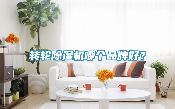 轉輪91看片软件大全哪個品牌好？