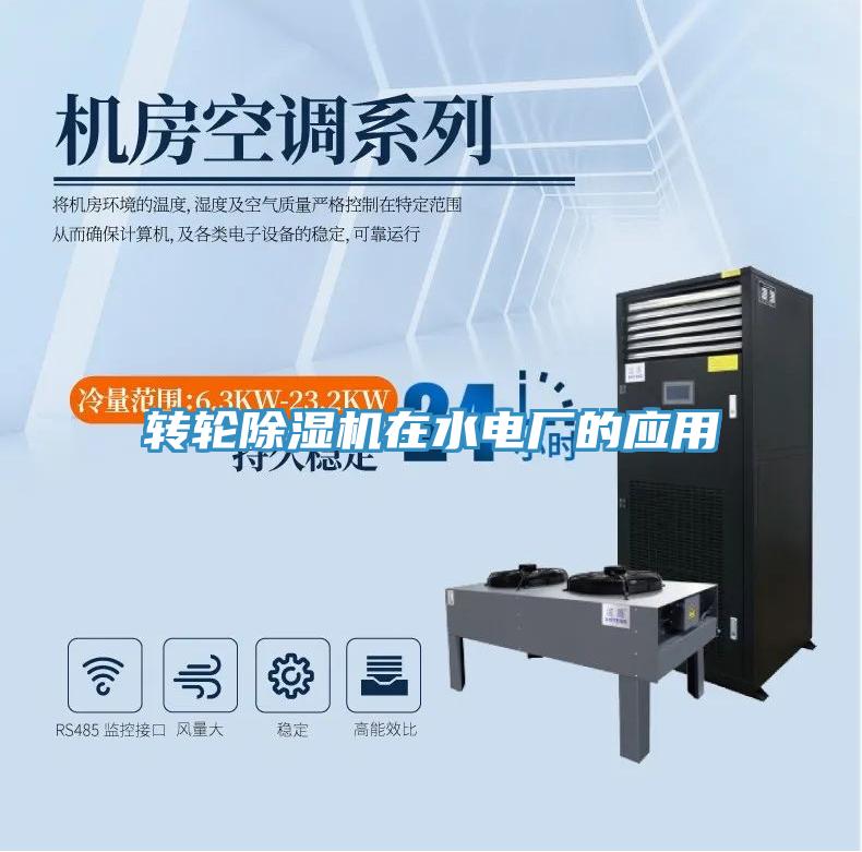 轉輪91看片软件大全在水電廠的應用