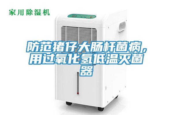 防範豬仔大腸杆菌病，用過氧化氫低溫滅菌器