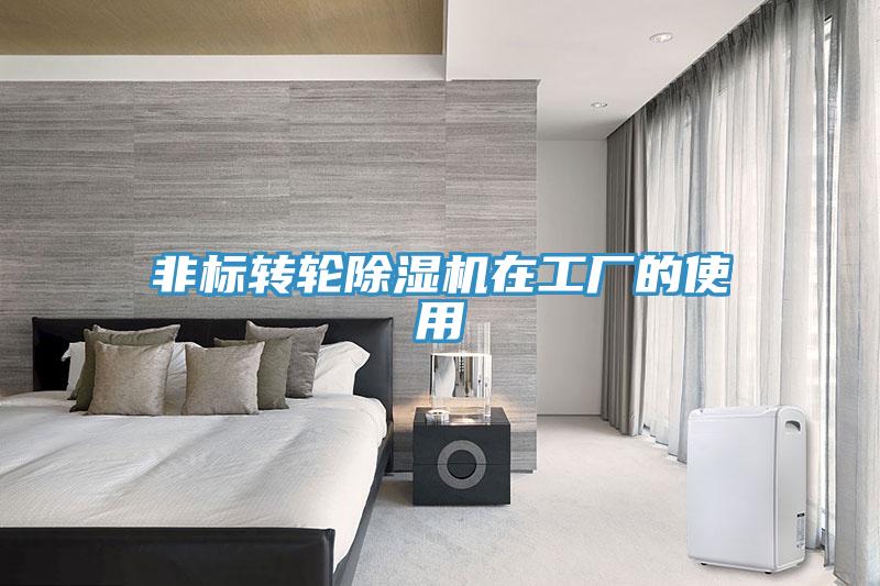 非標轉輪91看片软件大全在工廠的使用