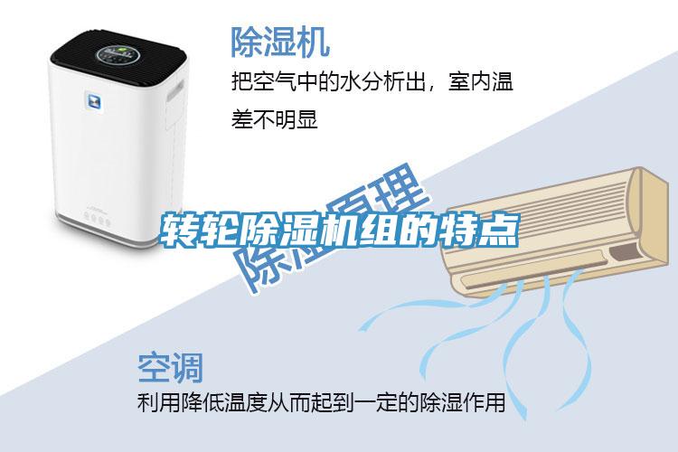轉輪91看片软件大全組的特點