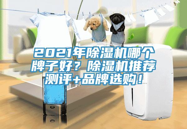 2021年91看片软件大全哪個牌子好？91看片软件大全推薦測評+品牌選購！