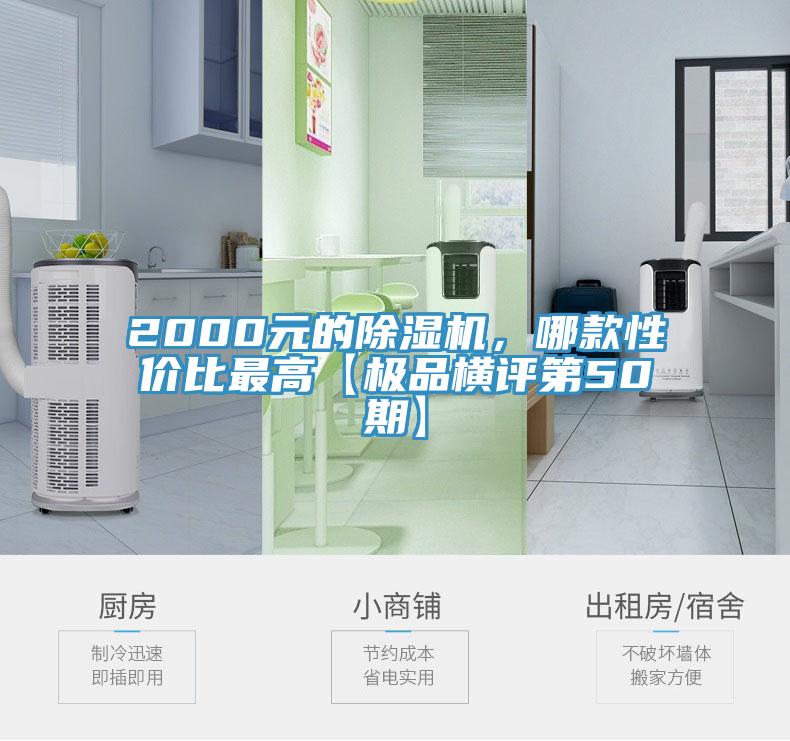 2000元的91看片软件大全，哪款性價比最高【極品橫評第50期】