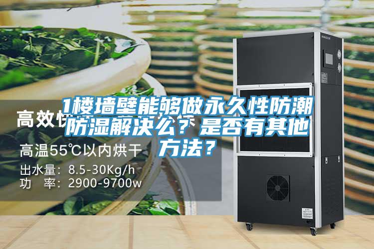 1樓牆壁能夠做永久性防潮防濕解決麽？是否有其他方法？