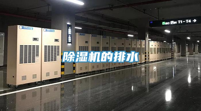 91看片软件大全的排水