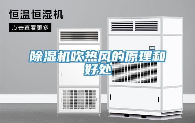 91看片软件大全吹熱風的原理和好處
