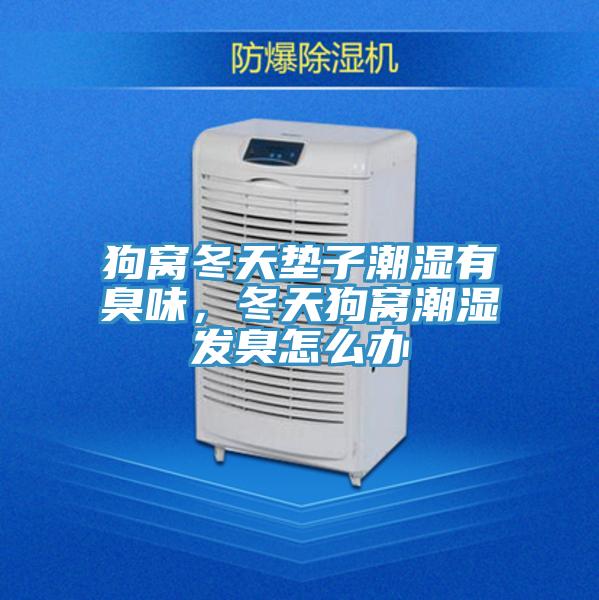 狗窩冬天墊子潮濕有臭味，冬天狗窩潮濕發臭怎麽辦