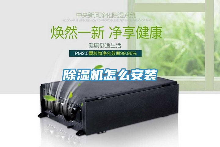91看片软件大全怎麽安裝