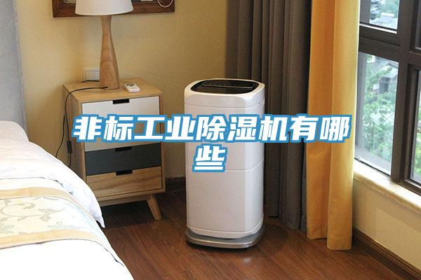 非標工業91看片软件大全有哪些