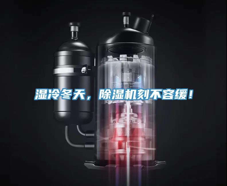 濕冷冬天，91看片软件大全刻不容緩！