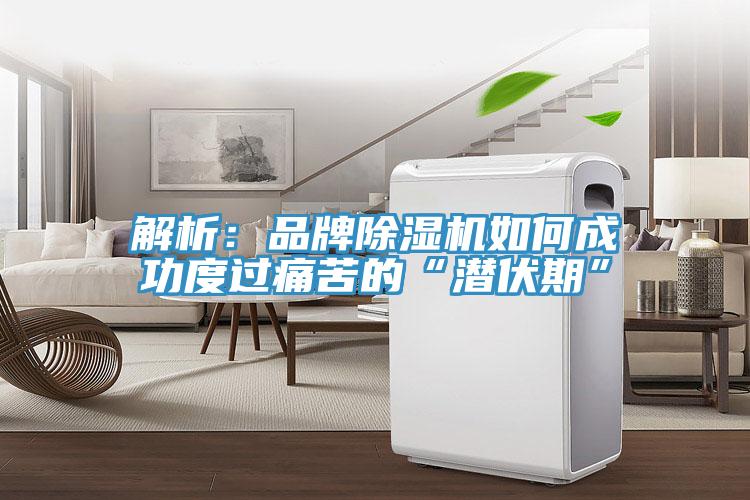 解析：品牌91看片软件大全如何成功度過痛苦的“潛伏期”