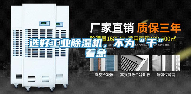 選好工業91看片软件大全，不為“幹”著急