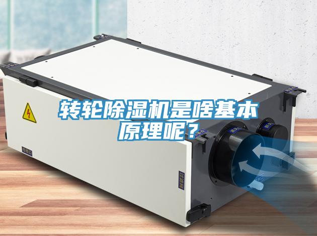 轉輪91看片软件大全是啥基本原理呢？