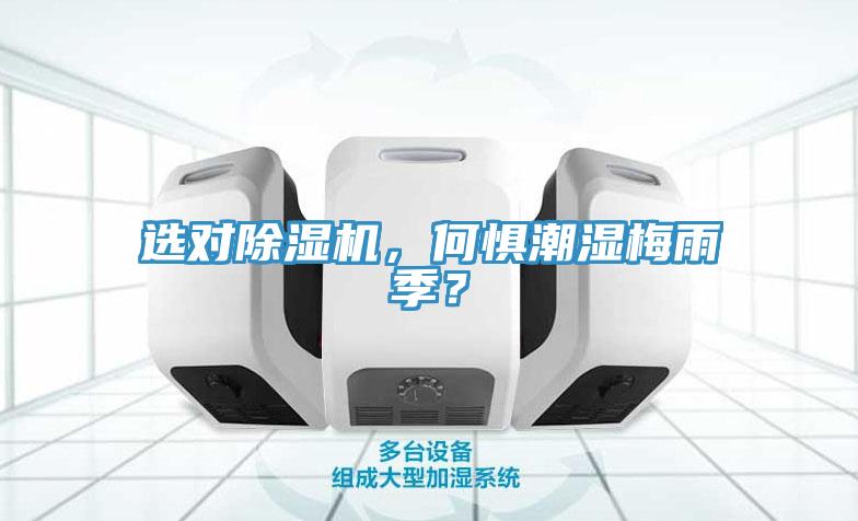 選對91看片软件大全，何懼潮濕梅雨季？