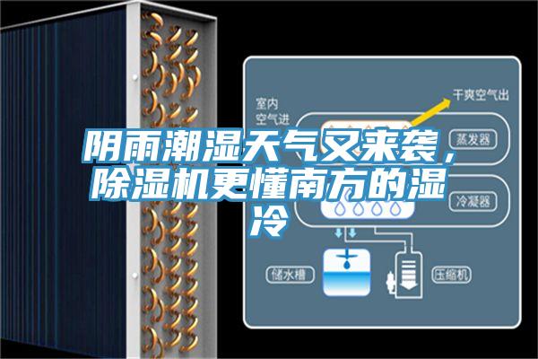 陰雨潮濕天氣又來襲，91看片软件大全更懂南方的濕冷