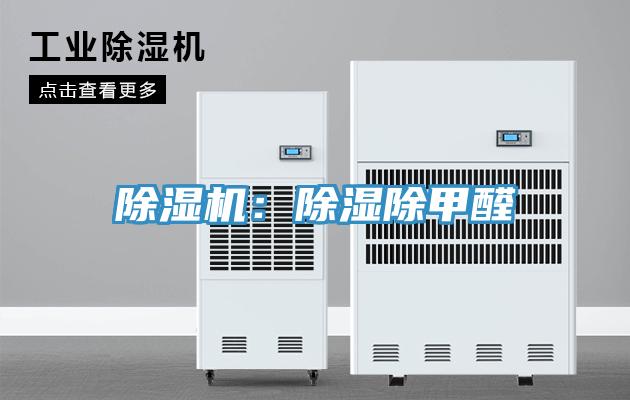 91看片软件大全：除濕除甲醛