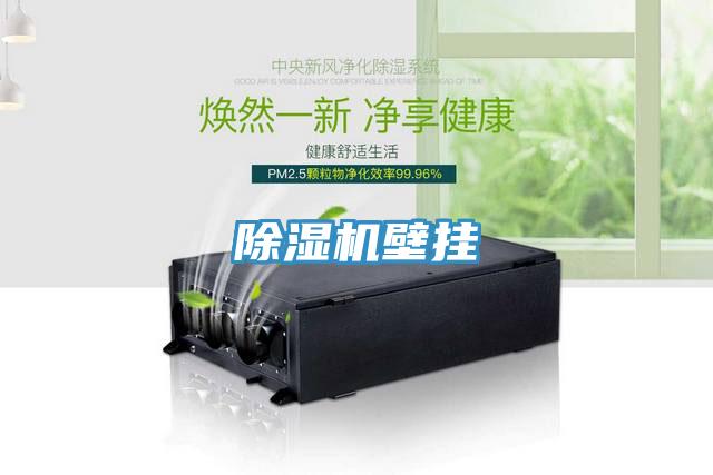 91看片软件大全壁掛