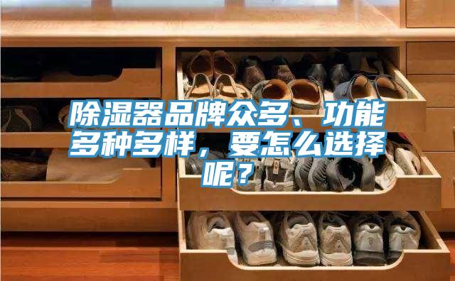 除濕器品牌眾多、功能多種多樣，要怎麽選擇呢？