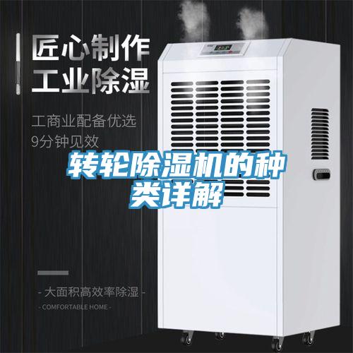 轉輪91看片软件大全的種類詳解