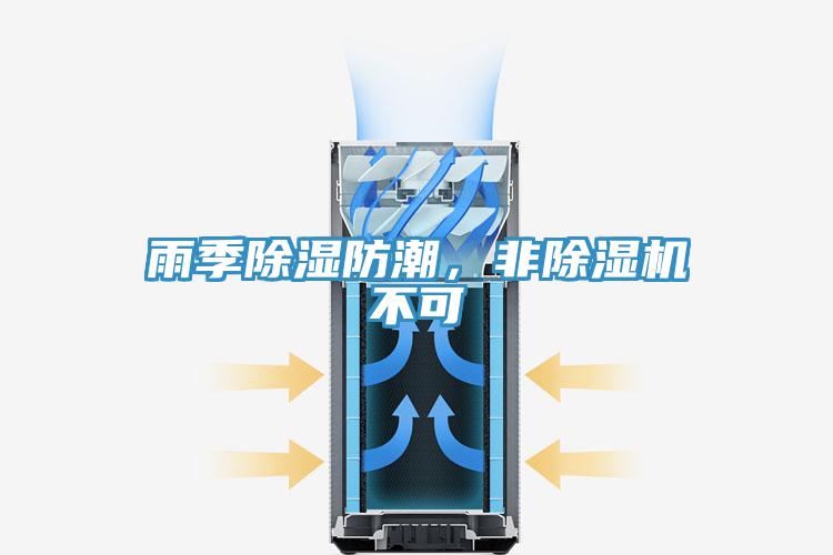 雨季除濕防潮，非91看片软件大全不可