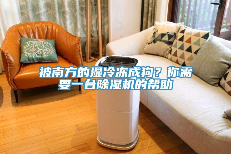被南方的濕冷凍成狗？你需要一台91看片软件大全的幫助