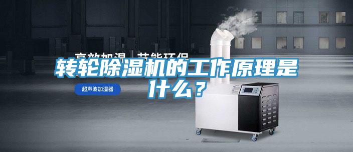 轉輪91看片软件大全的工作原理是什麽？