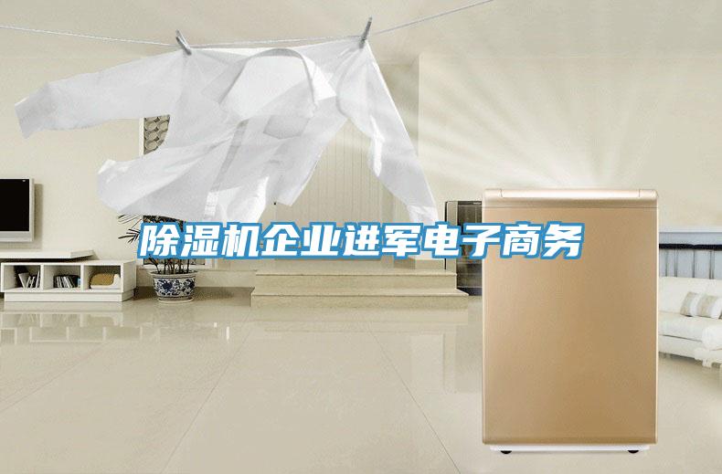 91看片软件大全企業進軍電子商務