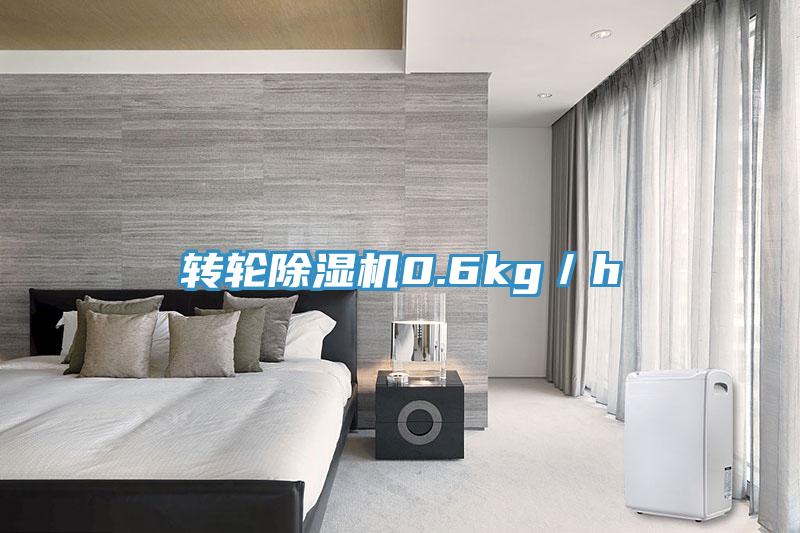 轉輪91看片软件大全0.6kg／h