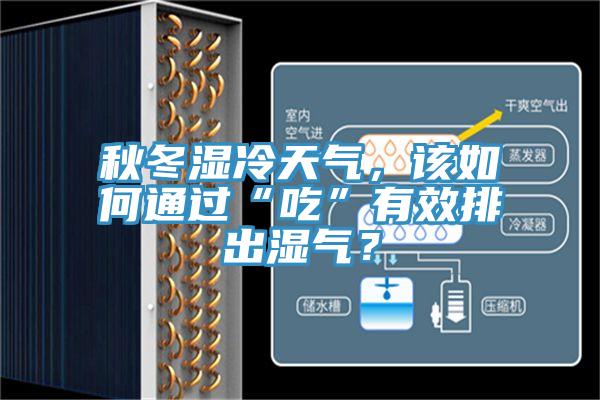 秋冬濕冷天氣，該如何通過“吃”有效排出濕氣？